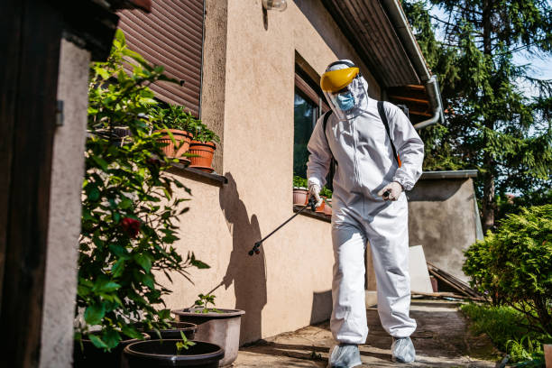 Best Best Pest Control Companies  in Stonegate, CO