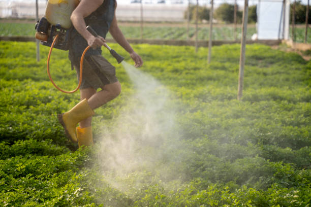 Best Affordable Pest Control Services  in Stonegate, CO