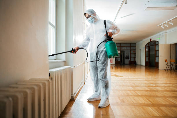 Best Pest Control Near Me in Stonegate, CO