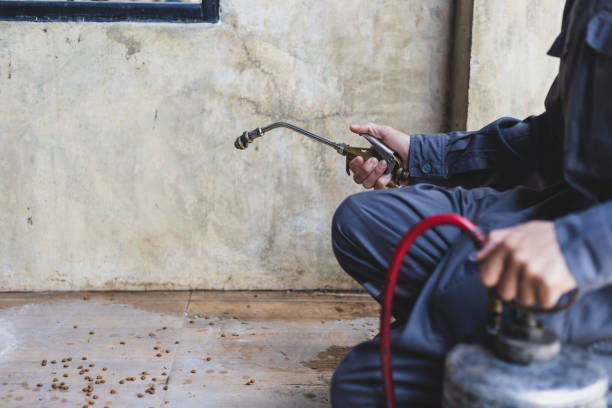 Best Pest Control Near Me  in Stonegate, CO