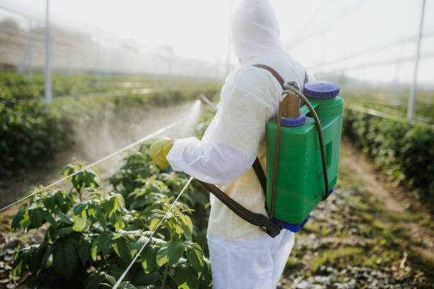 Flea Control Services in Stonegate, CO